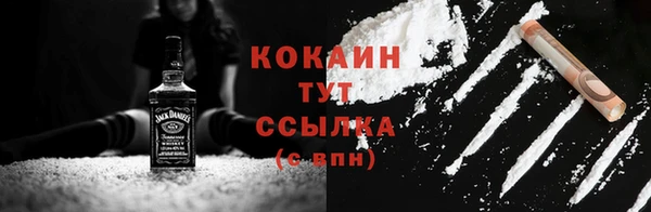 Альфа ПВП Верея