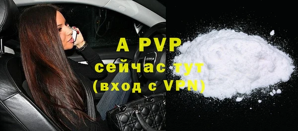 Альфа ПВП Верея